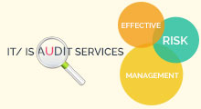 IT / IS Audits